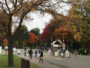 北海道大学3